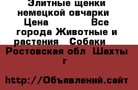 Элитные щенки немецкой овчарки › Цена ­ 30 000 - Все города Животные и растения » Собаки   . Ростовская обл.,Шахты г.